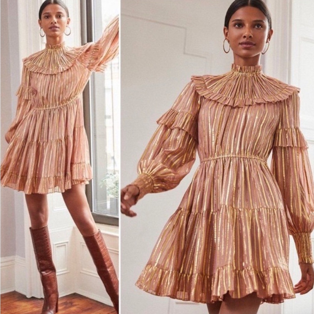 Nwot Ulla Johnson Averil Rose & Gold Ruffled Georgette Mini Dress - Size 6
